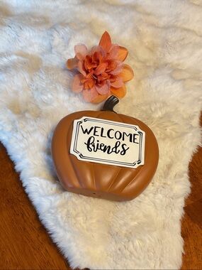 Handcrafted Autumn Orange Pumpkin “Welcome Friends” Decor
